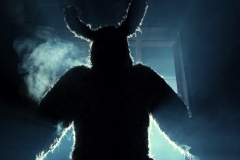 Bunny_01